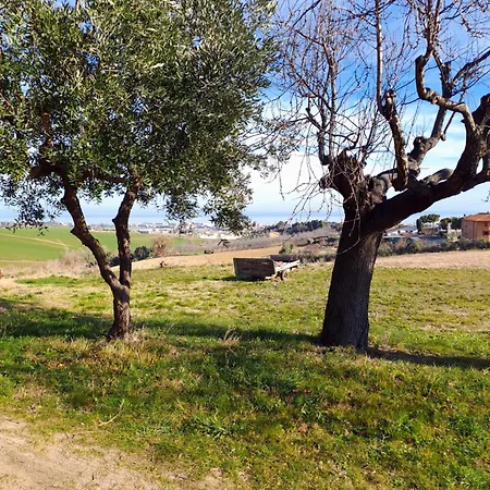 Holiday home Casa Olea *